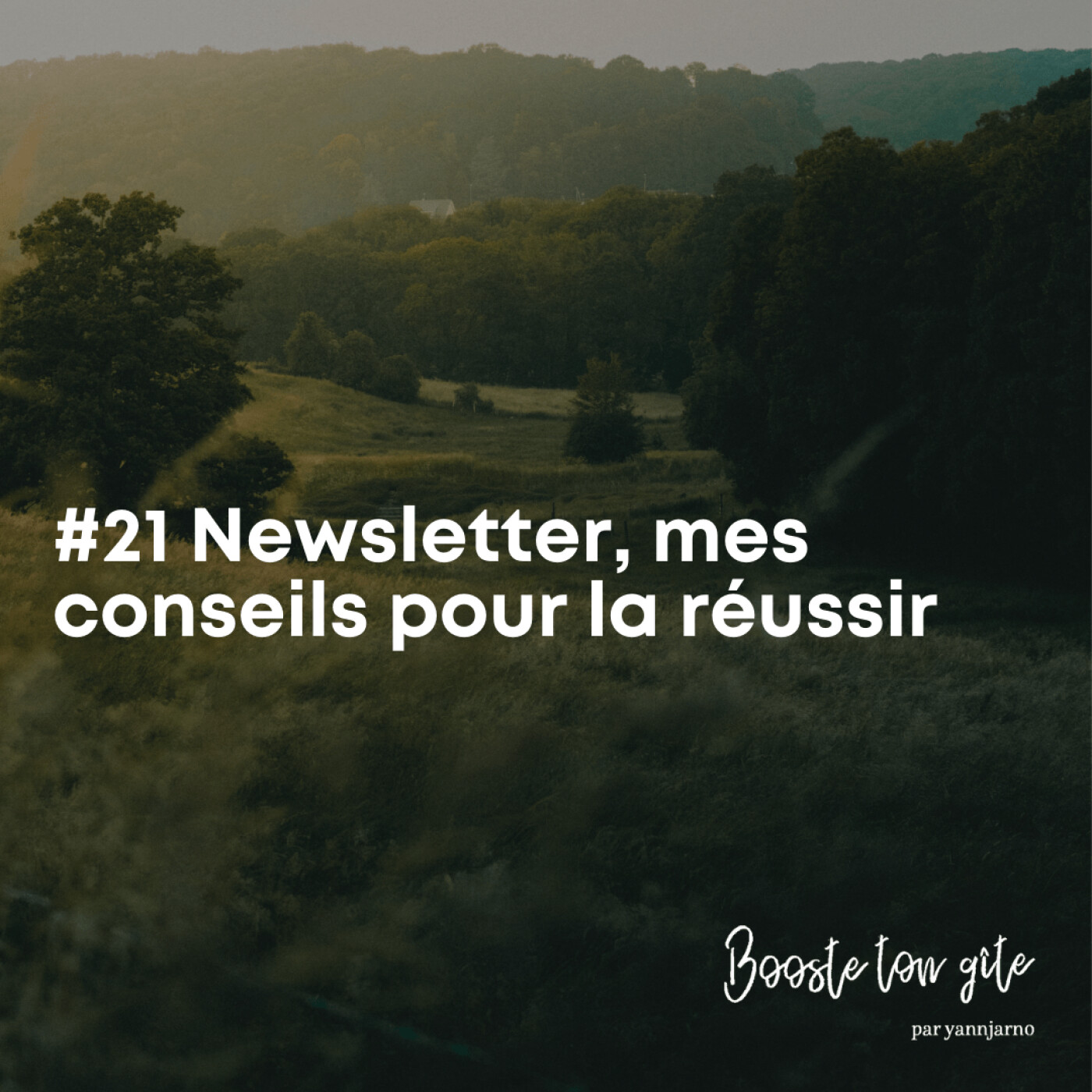 #21 Newsletter, mes conseils pour la réussir