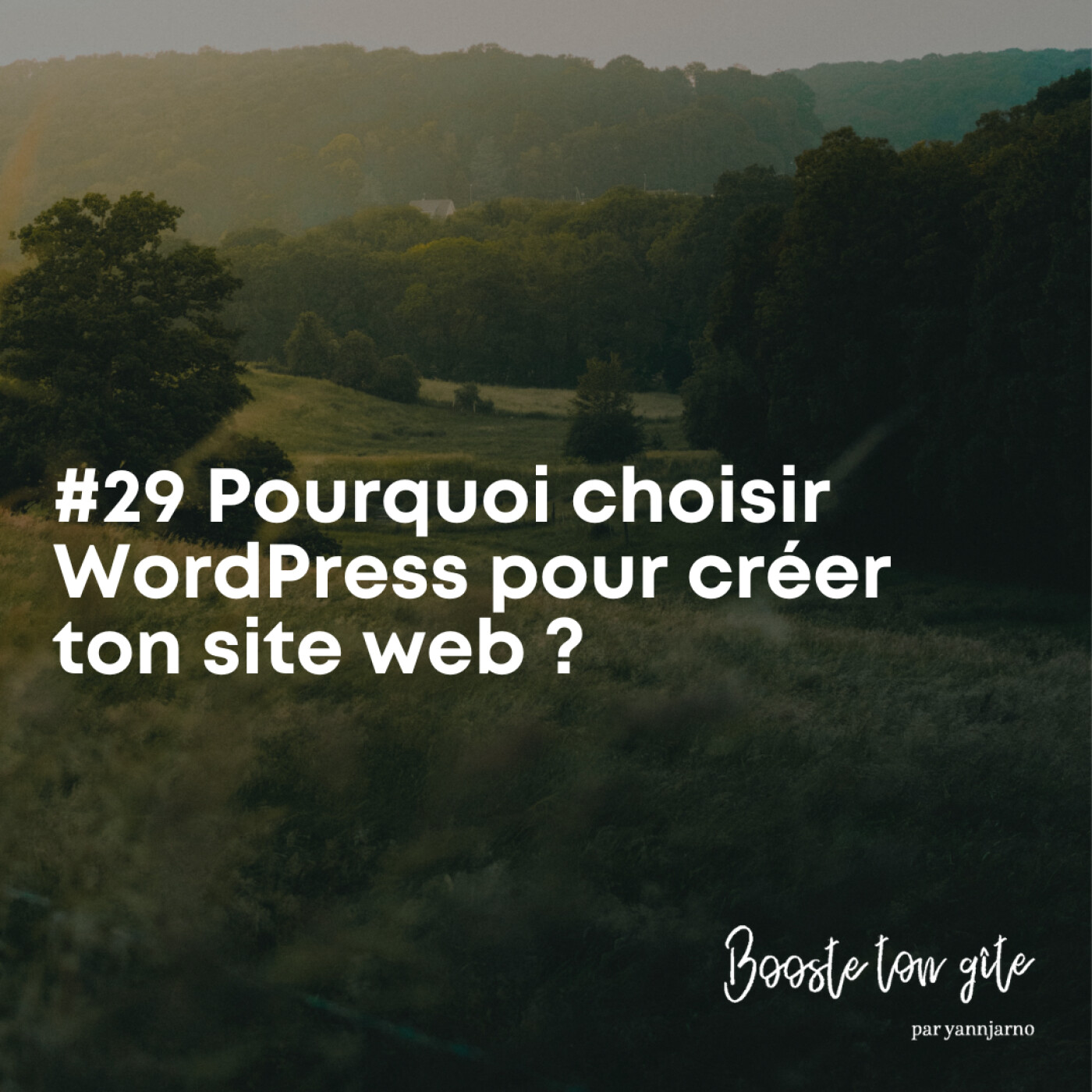 #29 Pourquoi choisir WordPress pour créer ton site web ? Comment ça marche ?