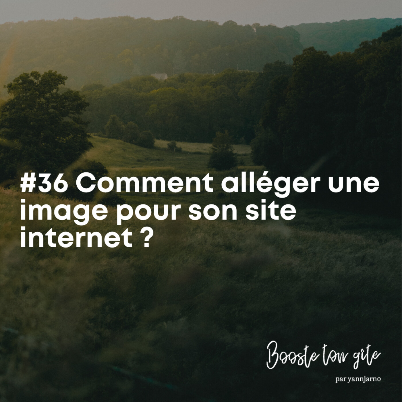 #36 Comment alléger une image pour son site internet ?